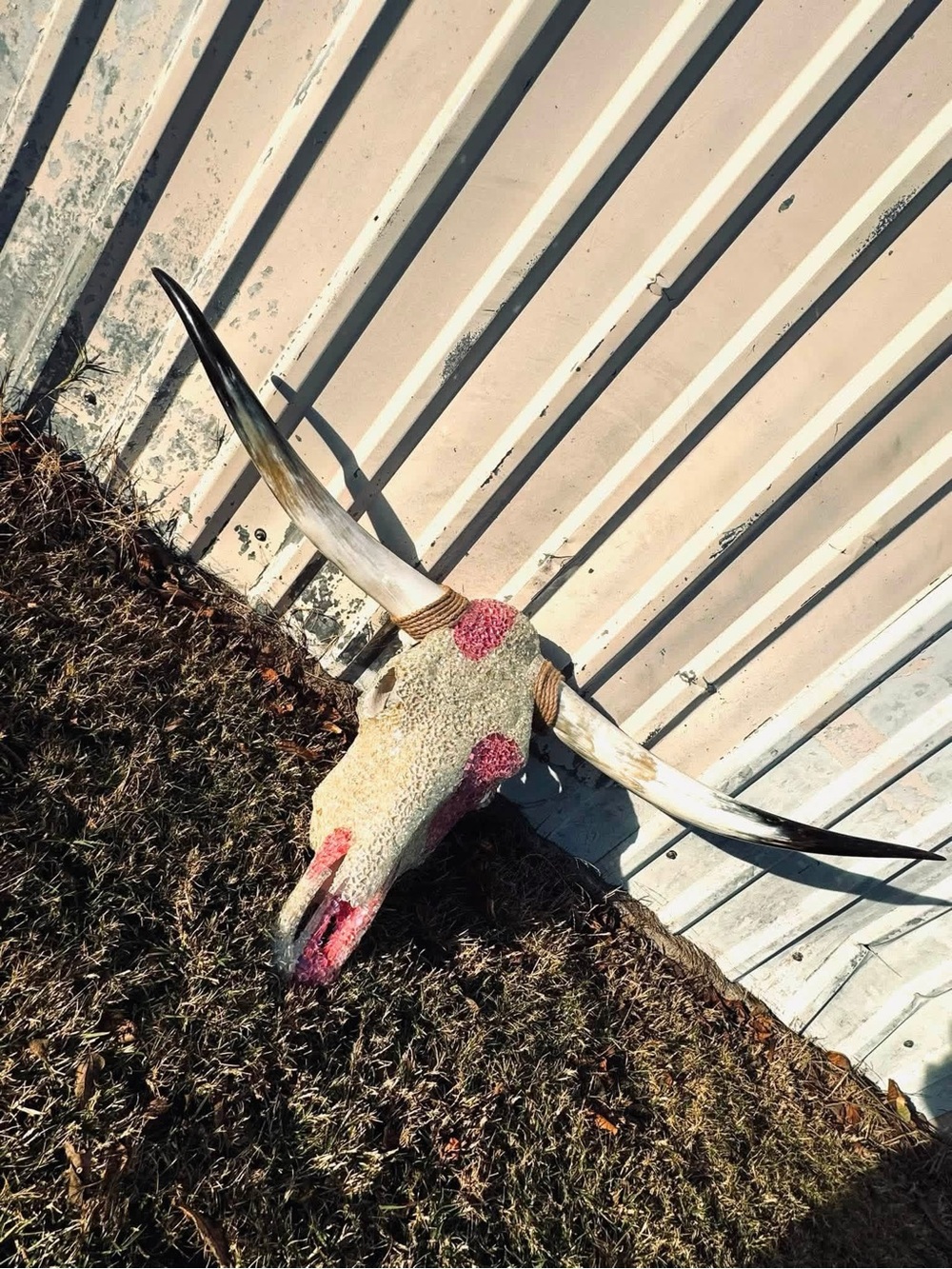 Decorative Painted Longhorn Skull - Ivory with Pink Accents